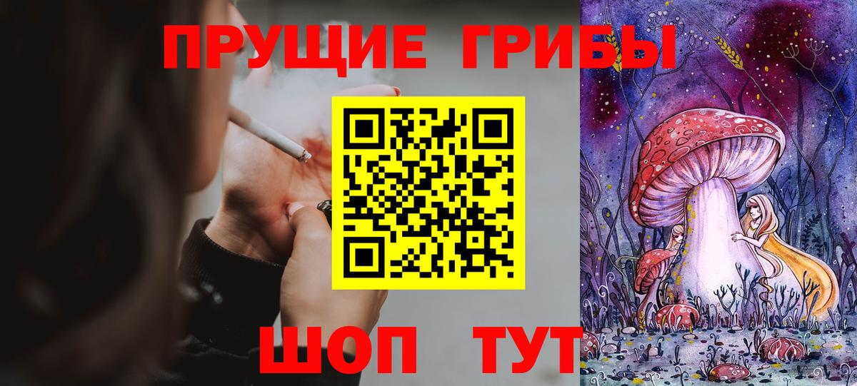 Волоколамск  Галлюциногенные грибы MAGIC MUSHROOMS  Вход с VPN 
